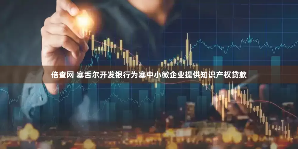倍查网 塞舌尔开发银行为塞中小微企业提供知识产权贷款