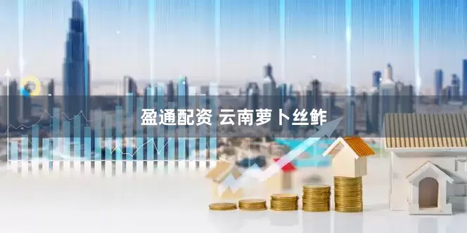 盈通配资 云南萝卜丝鲊